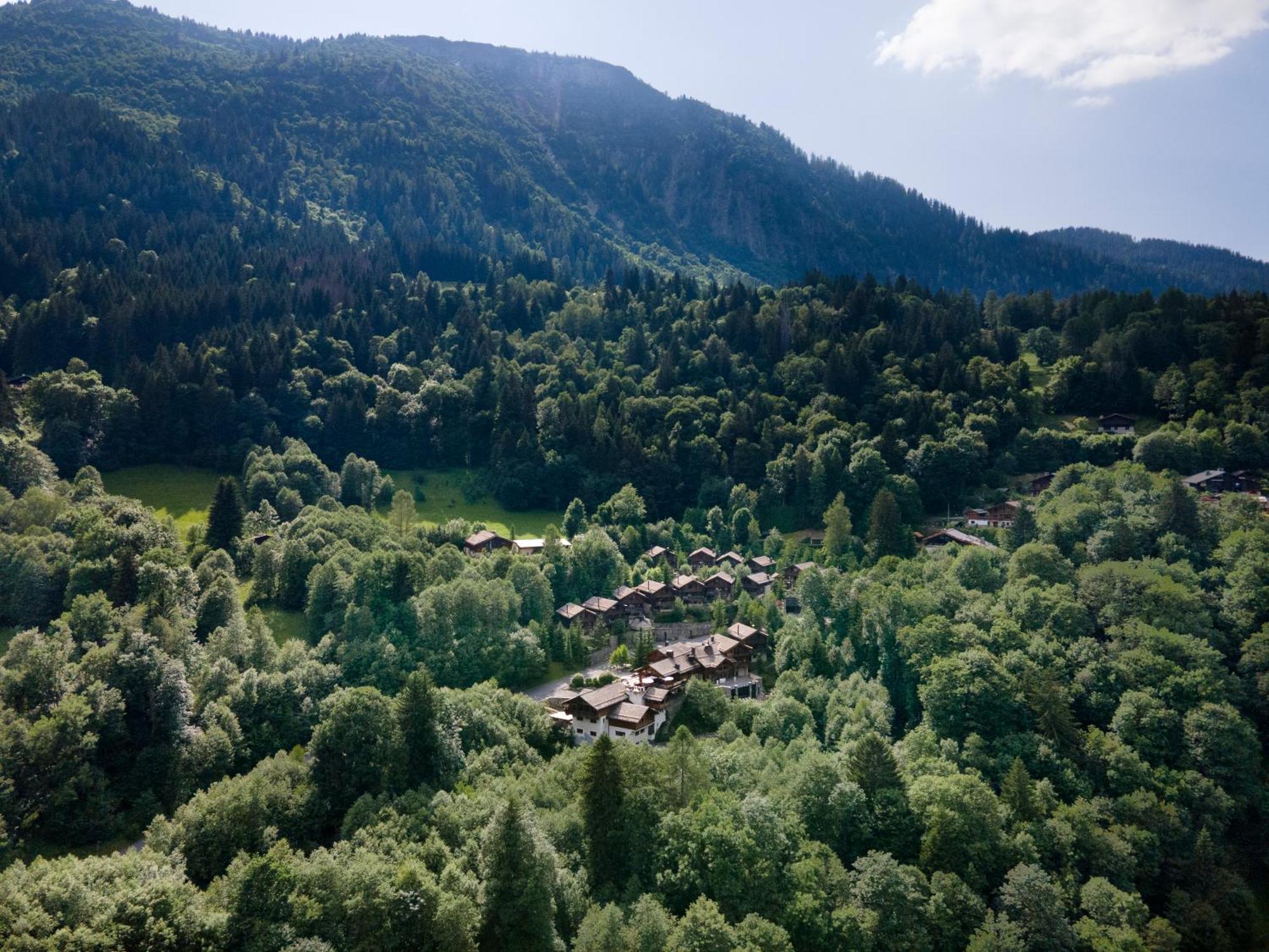 Les Granges D'En Haut - Chamonix Лез-Уш Экстерьер фото